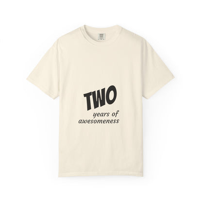 2 Years of Awesomeness T-Shirt