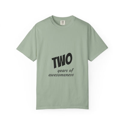 2 Years of Awesomeness T-Shirt