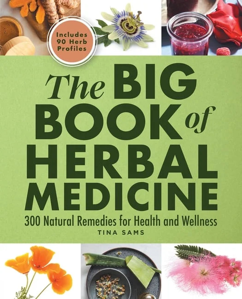 The Big Book of Herbal Medicine : 300 Natural Remedies for Health and Wellness (Paperback)