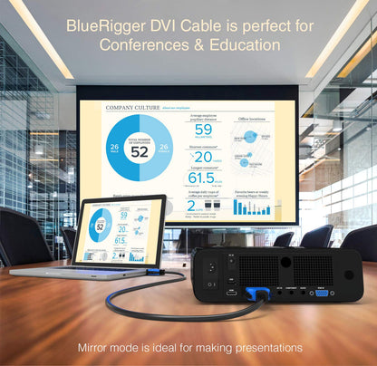 DVI to DVI Cable 10FT (High Resolution 2560X1600, DVI-D Cable 24+1 Dual Link, Gold Plated) – DVI Cables for Gaming, HDTV Monitors, Projectors, Graphics/Video Cards