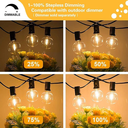 29FT Outdoor String Lights, G40 Globe LED Dimmable Patio Lights